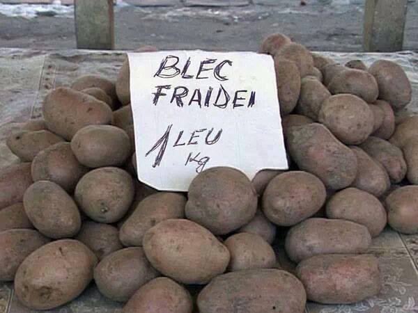 Toți vânzătorii s-au pregătit pentru Blec Fraidei poze haioase