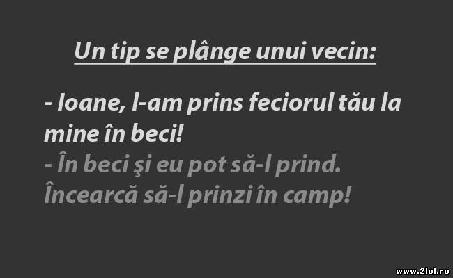 Păi da! În beci e uşor de prins poze haioase