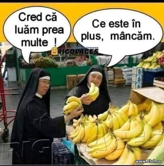 Prea multe poze haioase