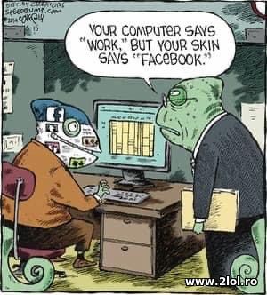 Your computer says work but your skin says fb poze haioase