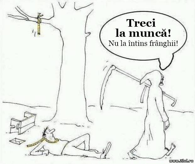 Treci la muncă! Nu la întins frânghii! poze haioase