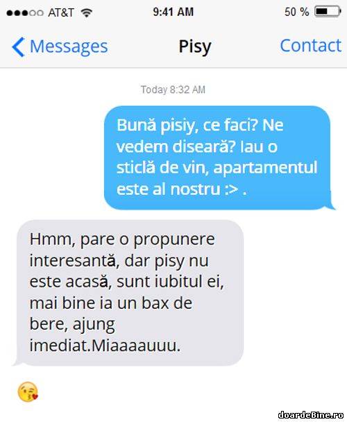 Când pisy are iubit poze haioase