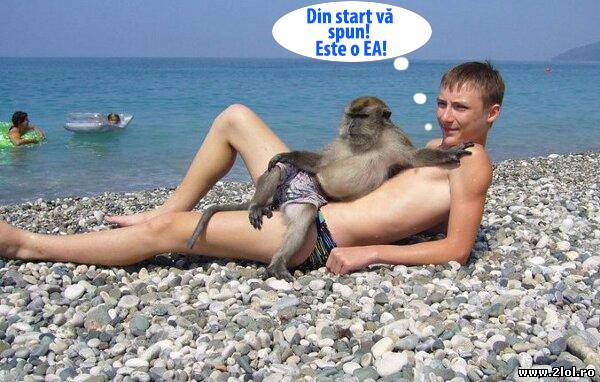 Aha, așa mai merge poze haioase