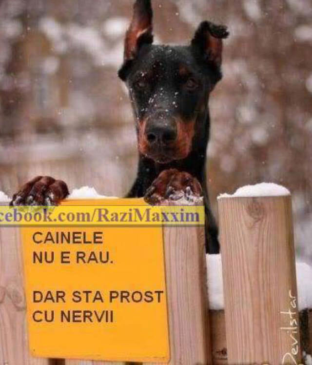 Deci poți să stai liniștit poze haioase