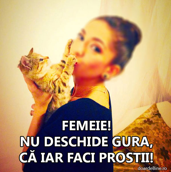 Ştie pisica ceva... poze haioase