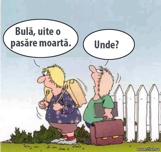 Bulă, uite o pasăre moartă poze haioase