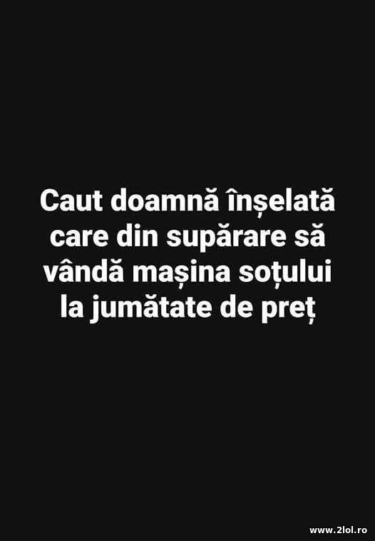 Caut doamna inselata poze haioase