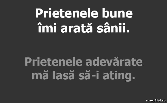 Diferența dintre o prietenă bună și una adevărată poze haioase