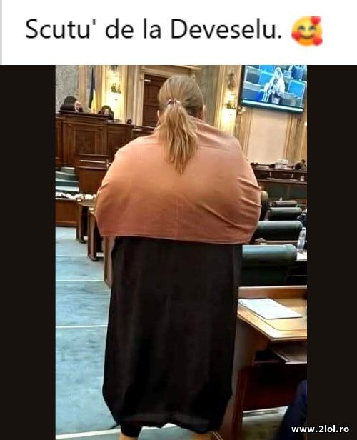 Scutu de la Deveselu poze haioase