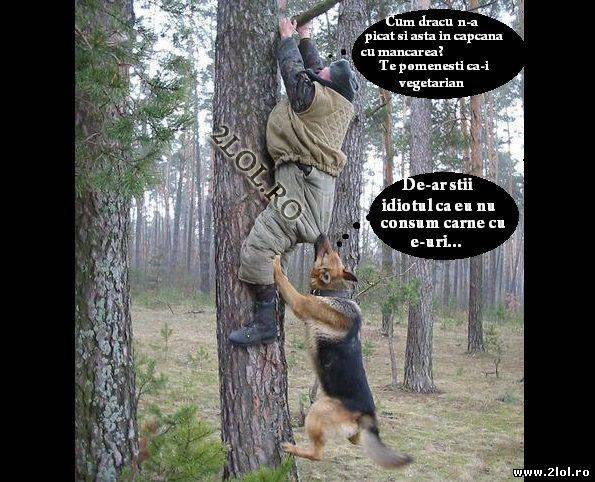 Nu toți câinii pică în capcana cu mâncarea poze haioase