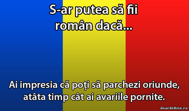 Logica șoferilor profesioniști din România poze haioase