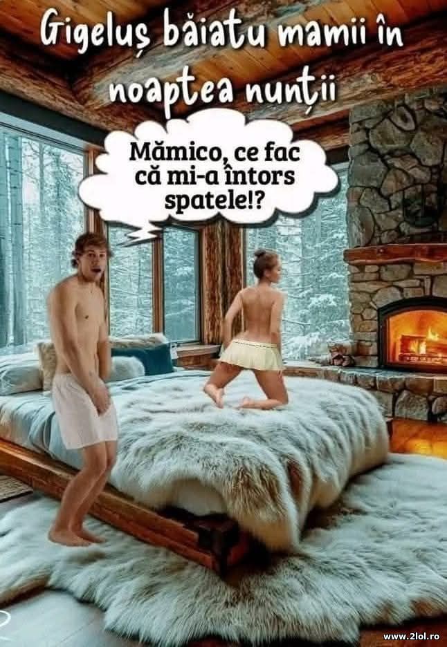 Gigelus in noaptea nuntii poze haioase