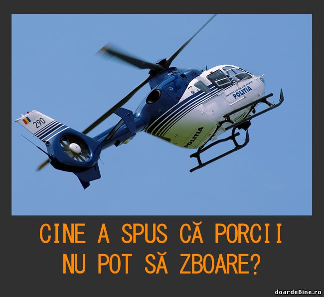 Credeai că porcii nu pot să zboare? poze haioase