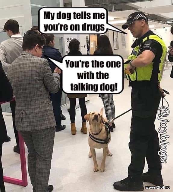 My dog tells me you're on drugs poze haioase