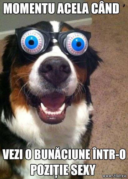 Bine, nu numai ochii suferă modificări poze haioase