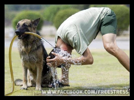 un ajutor de nadejde poze haioase