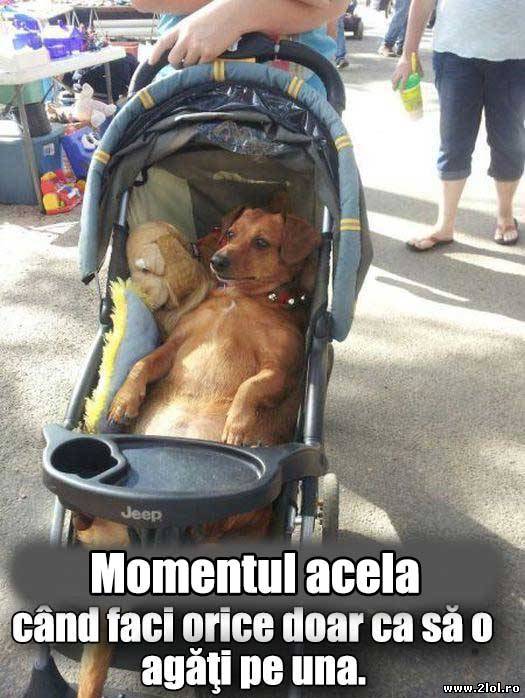 Atunci când faci orice doar ca să o agăţi pe una poze haioase