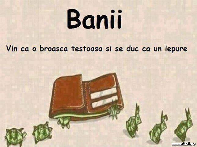 Cum vin şi se duc banii poze haioase