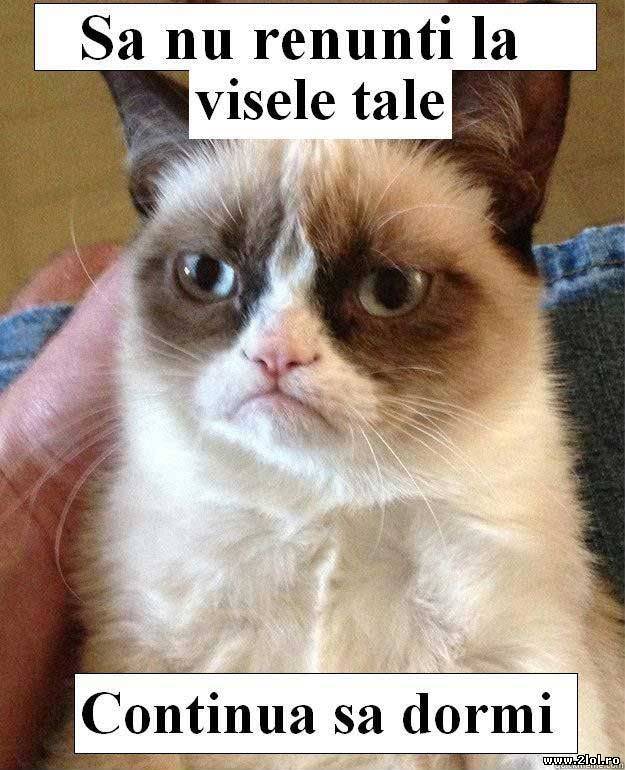 Nu renunța la visele tale poze haioase