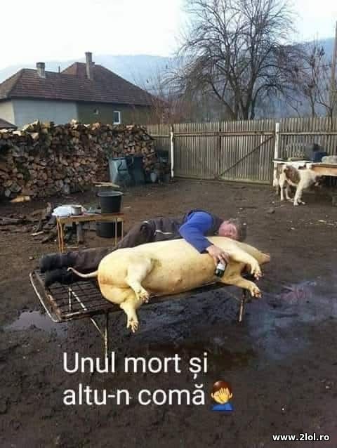 Unul mort si altul in coma poze haioase