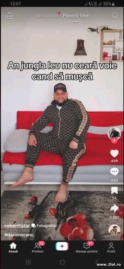 In jungla poze haioase