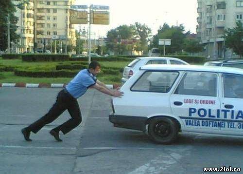 Lege și ordine poze haioase