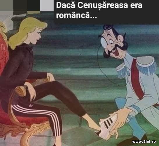 Daca Cenusareasa era romanca poze haioase