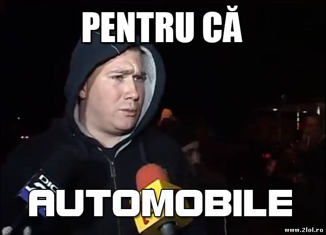 Pentru că automobile poze haioase
