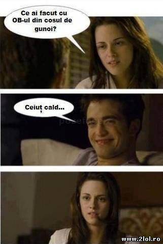 Ce ai făcut cu OB-ul din coșul de gunoi? poze haioase