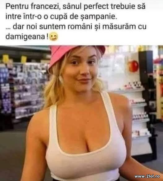 Pentru francezi, sanul perfect poze haioase