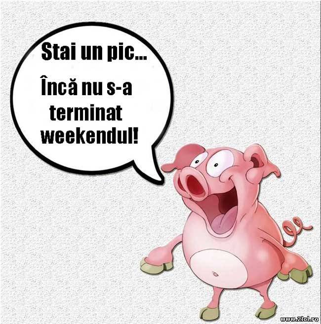 Când îți dai seama ca weekendul încă nu este gata poze haioase