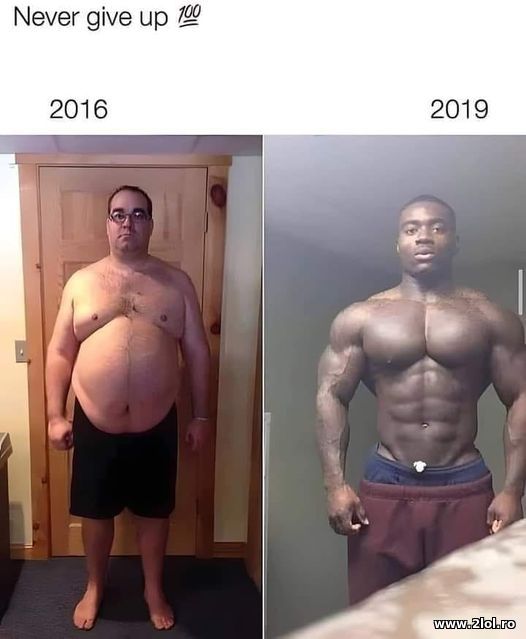 Never give up poze haioase