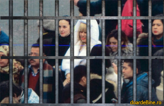 O prietenie ce nu trebuie despărţită poze haioase