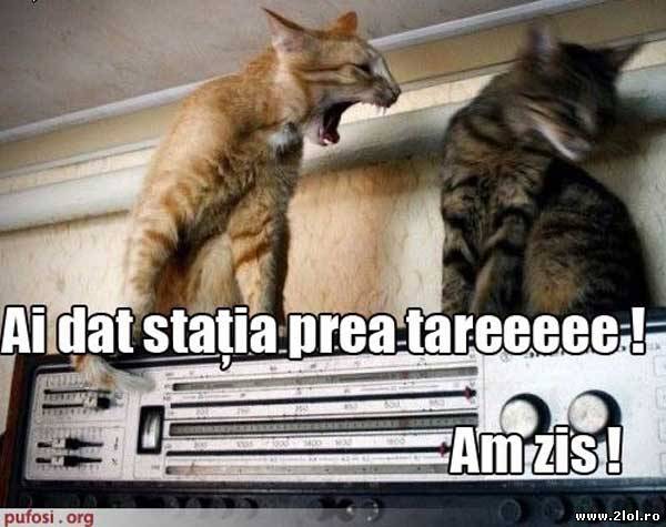 Când dai staţia prea tare poze haioase