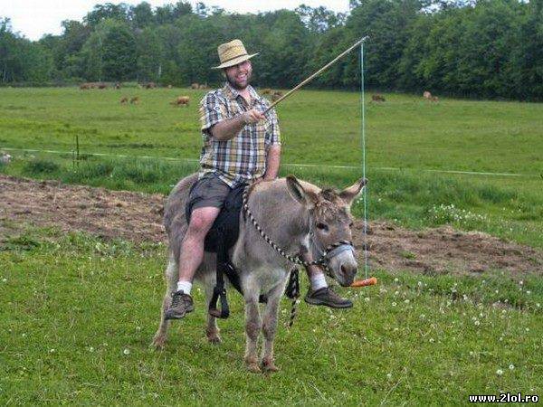 Căratul pe timp de criză poze haioase