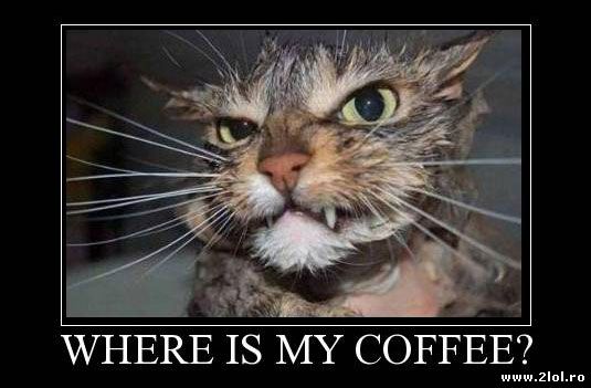 Dimineața înainte de cafea poze haioase