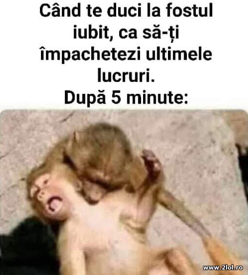 Cand te duci la fostul iubit poze haioase