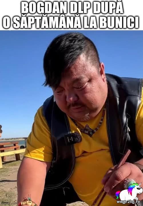 Bogdan DLP dupa o saptamana la bunici poze haioase