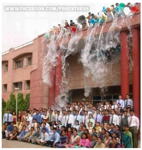 Surprize Surprize poze haioase