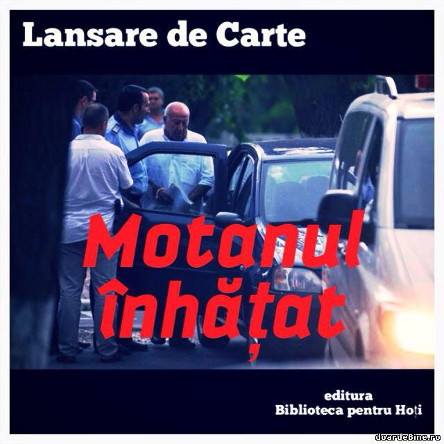 Motanul înhăţat poze haioase