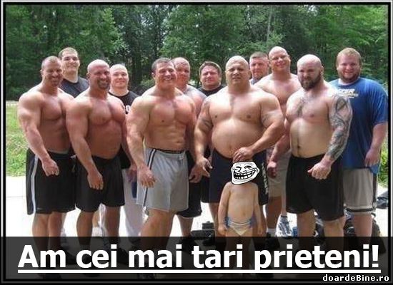 El chiar are cei mai tari prieteni poze haioase