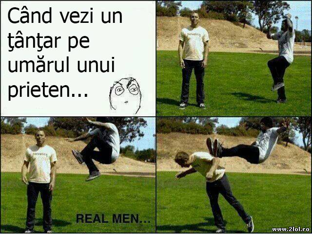 Când vezi un ţânţar pe umărul unui prieten poze haioase