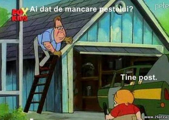 Ai dat de mâncare peștelui? poze haioase