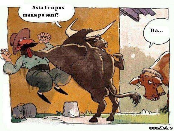 Ai grijă pe sânii cărei vaci pui mâna poze haioase