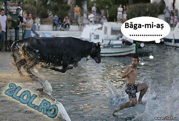 Adrenalină i-a trebuit poze haioase