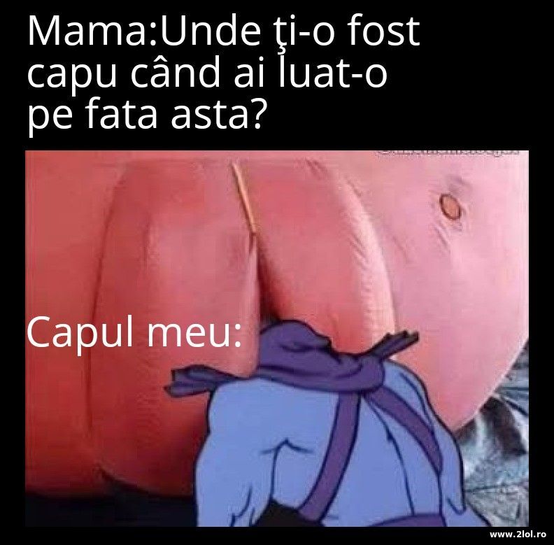 Unde ti-a fost capul | poze haioase