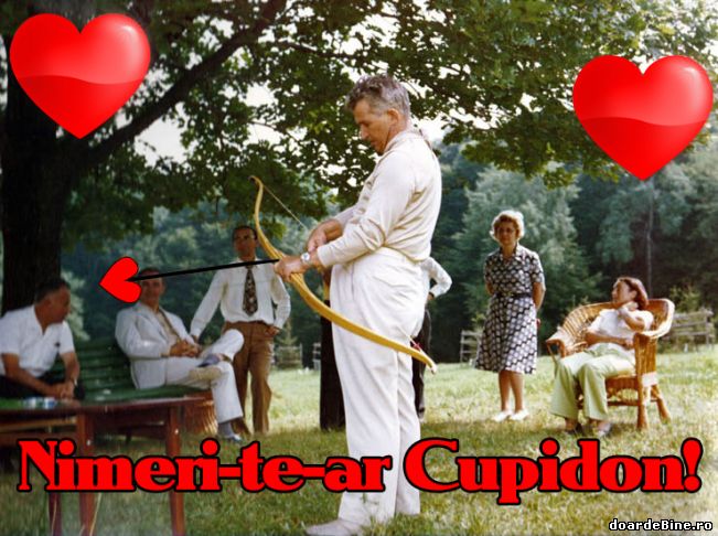 Nimeri-te-ar nea Nicu CeușecCupidon | poze haioase