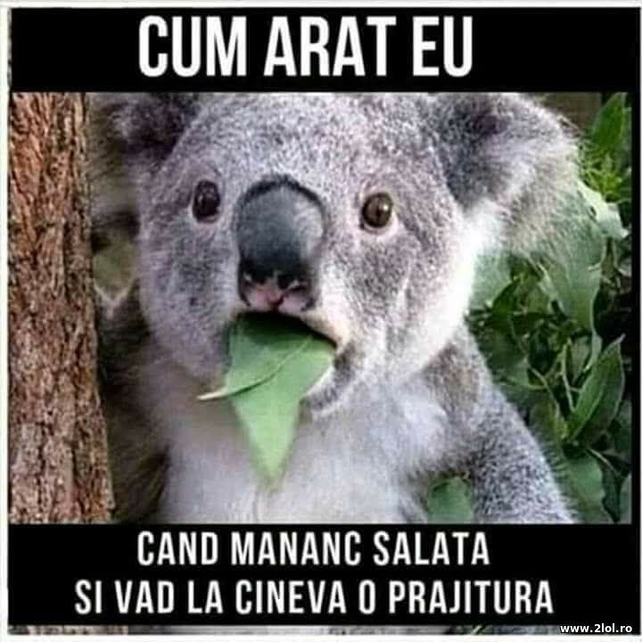 Salata | poze haioase