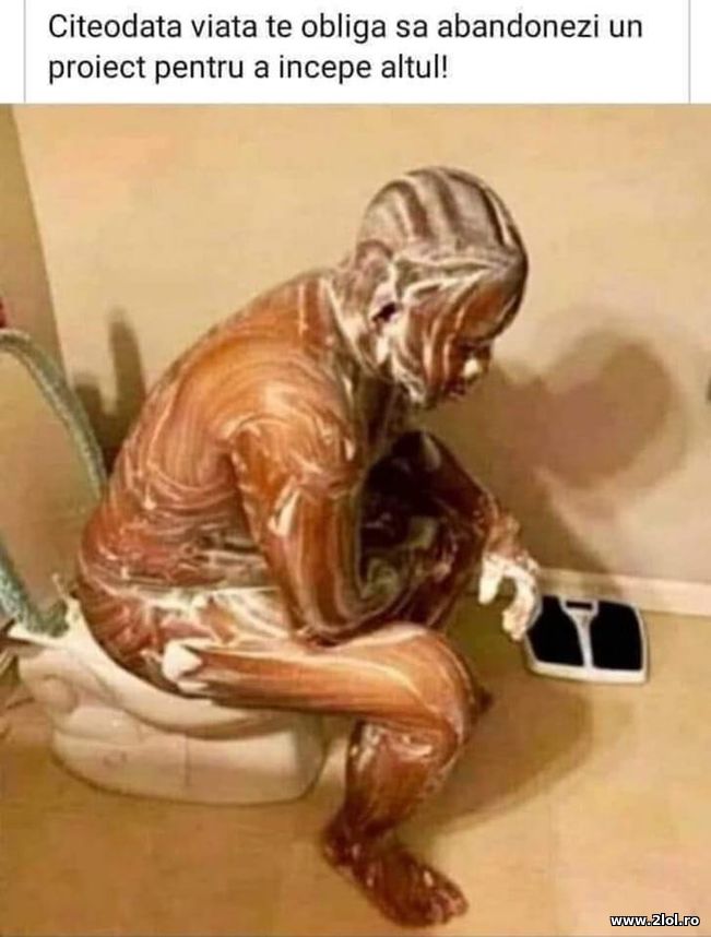 Cateodata viata te obliga sa abandonezi un proiect | poze haioase