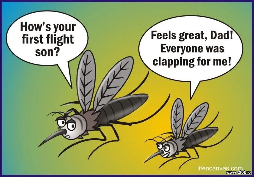 How was your first flight son? | poze haioase